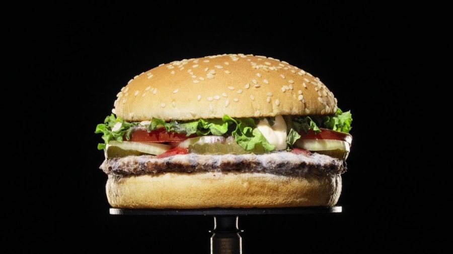 Burger King, The Moldy Whopper, integrated film and outdoor campaign, 2020, INGO Stockholm