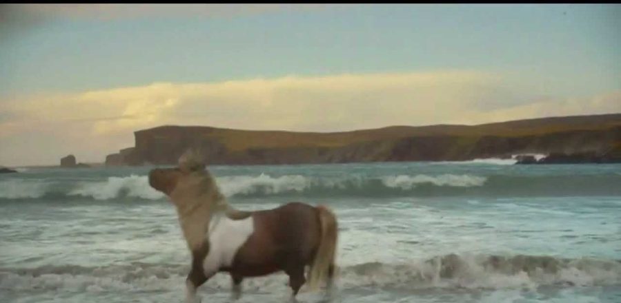 Three Dance Pony Dance television advert, 2013, Wieden+Kennedy