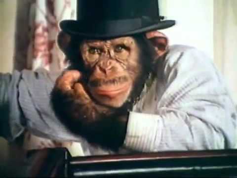 PG Tips, Tipps family chimps campaign, TV, 1956 to 2002, Davidson Pearce Berry and Spottiswoode