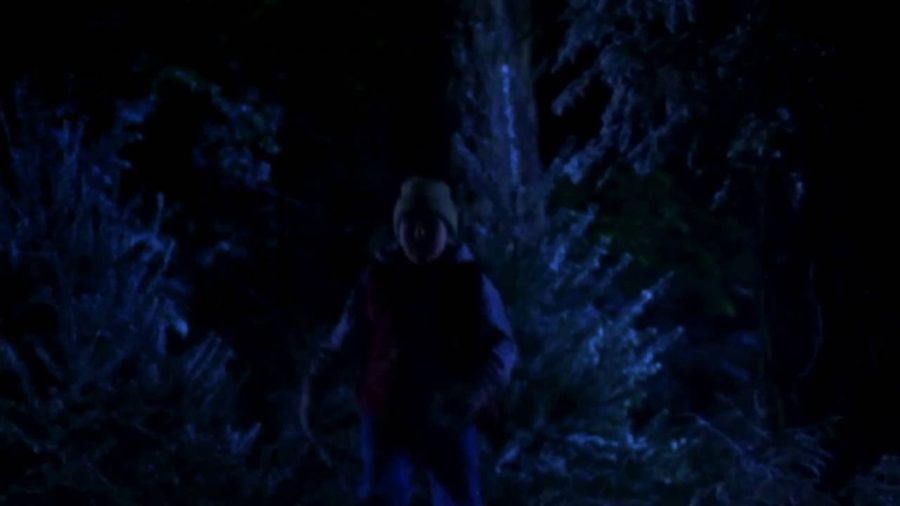 Coca-Cola, Holidays Are Coming, TV advert, 1995, W.B. Doner