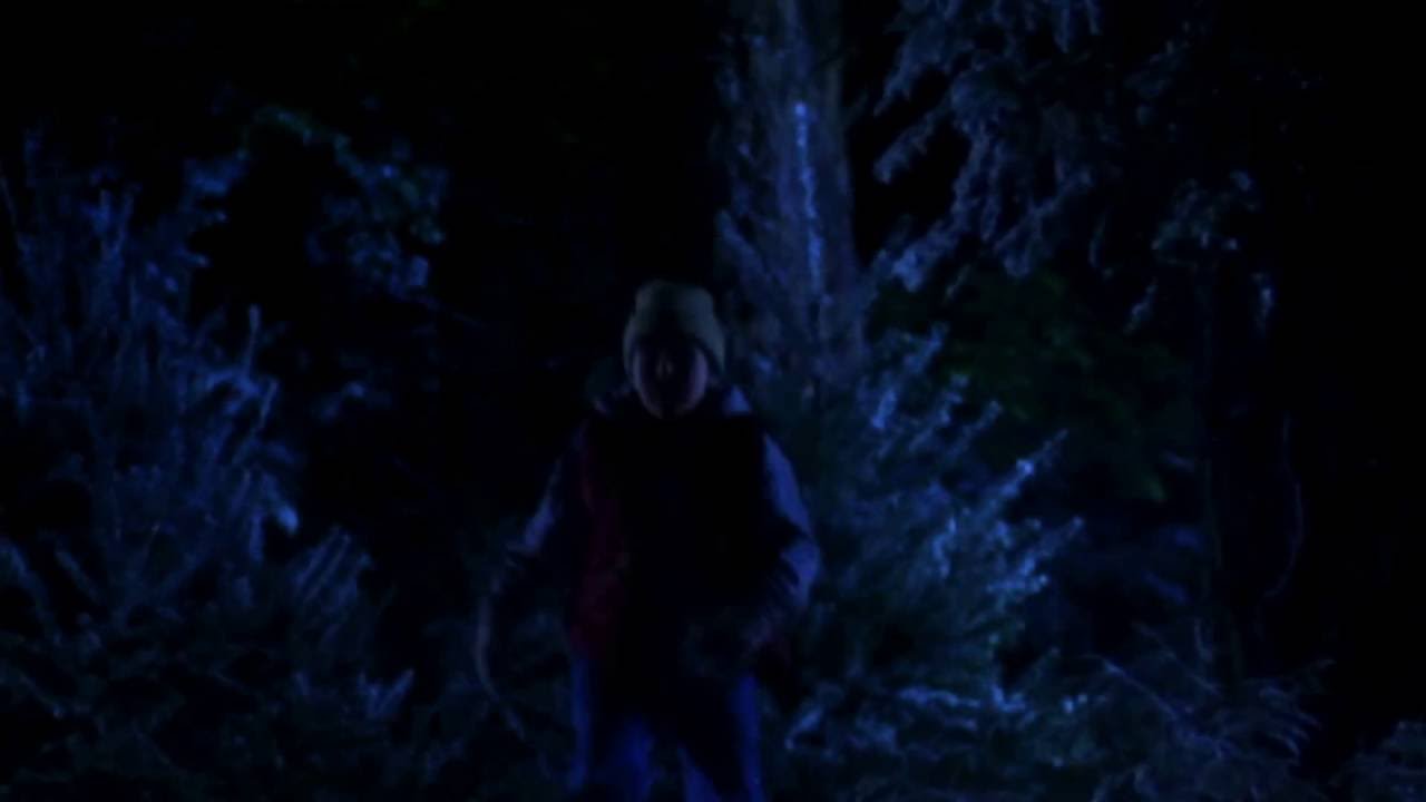 Coca-Cola, Holidays Are Coming, TV advert, 1995, W.B. Doner