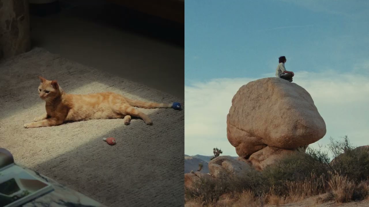 Smalls, Is Cat, out-of-home and film campaign, 2026, in-house