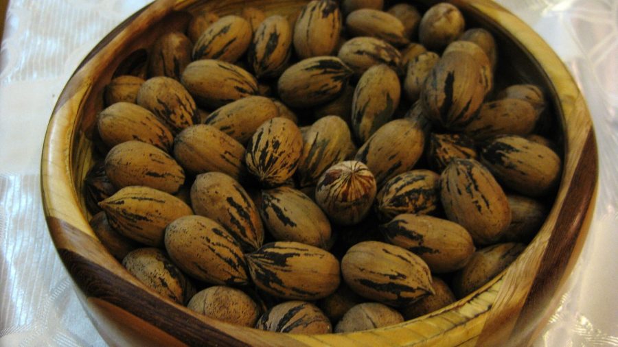 A wooden bowl of pecans