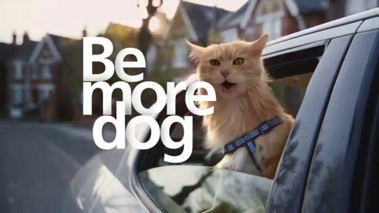 O2, Be More Dog, TV and Digital, 2013, VCCP